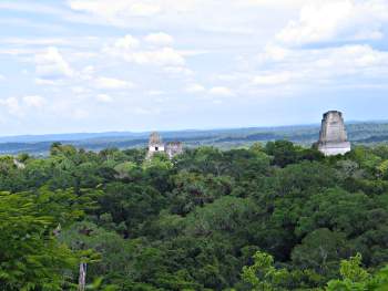 Temple pyramids above the jungle canopy