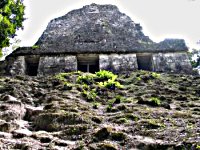 Mayan ruins of Tikal